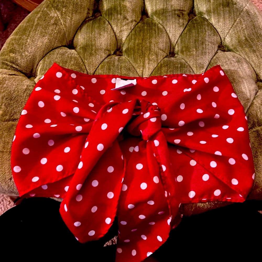 Red poka dot Two piece outfit